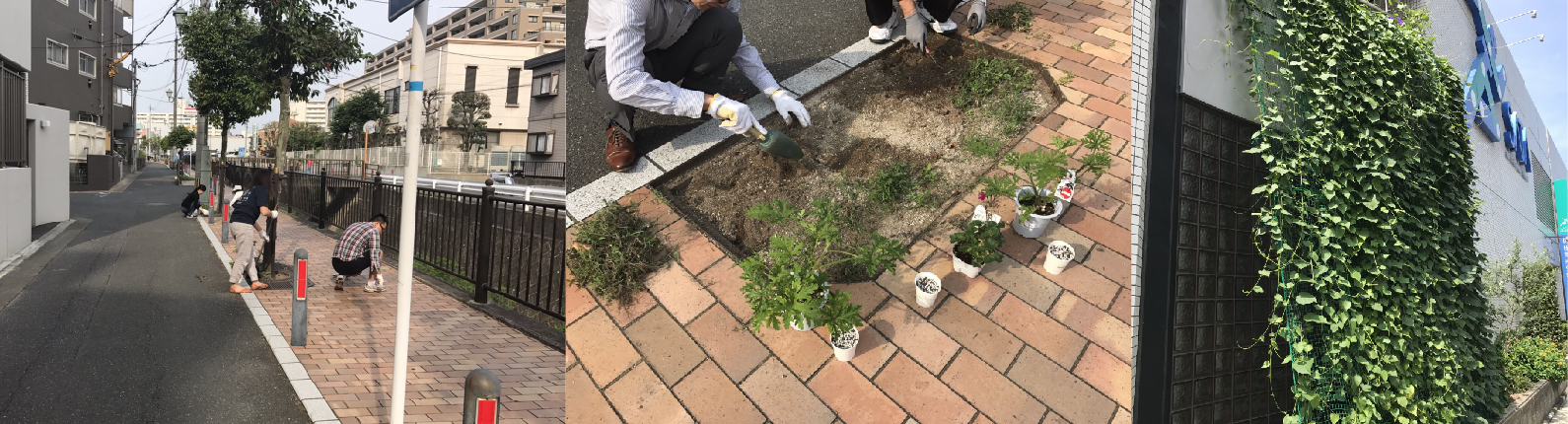 地域清掃・緑化活動