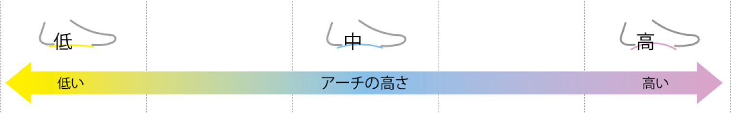 アーチの高さと内容積の解説図